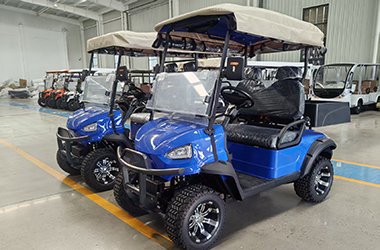 2 seater blue electric golf cart with cargo bed