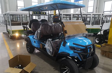 4+2 Seater Blue Electric Golf Cart