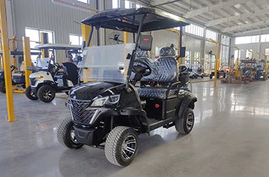 2 Seater Black Gasoline Engine Golf Cart