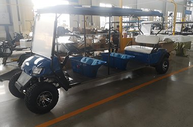 6 Seater Blue Gas Powered Golf Cart